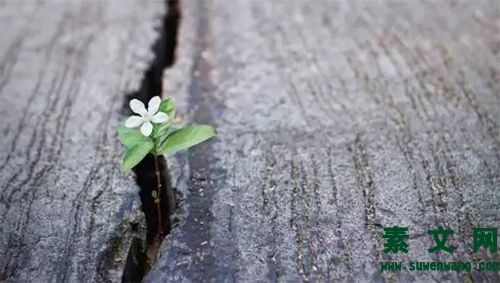 面對生活，直面逆境
