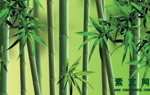 梅蘭竹菊詩(shī)詞