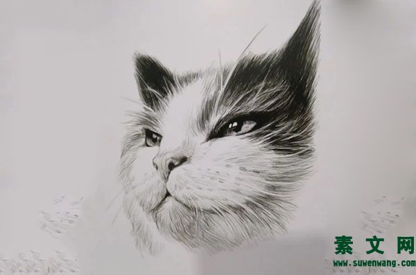 畫素描會用到的工具有哪些