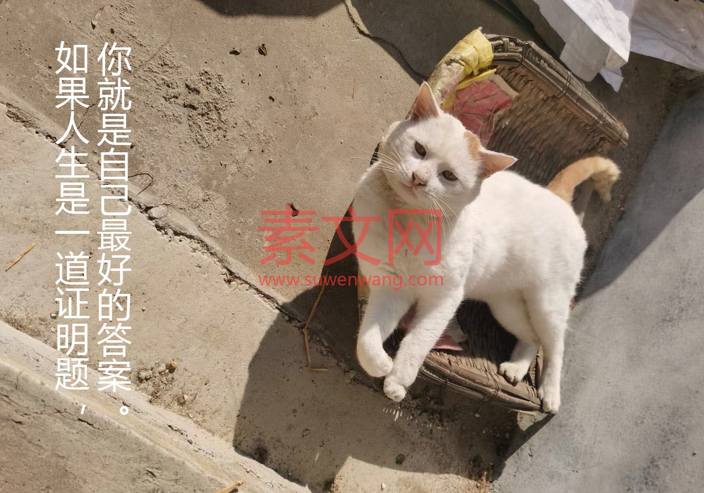 如果人生是一道證明題，你就是自己的答案。