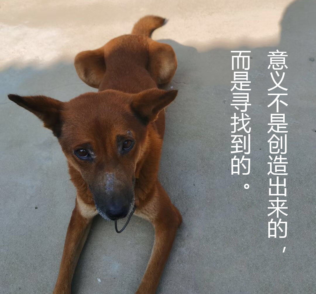 意義不是創造出來的， 而是尋找到的。