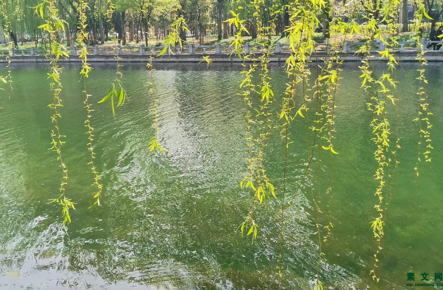 愿你在春暖花開的季節(jié)，莫負相遇