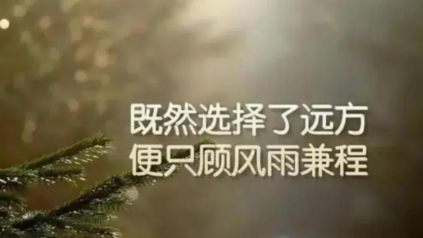 2022年有關勵志感悟句子錦集48條