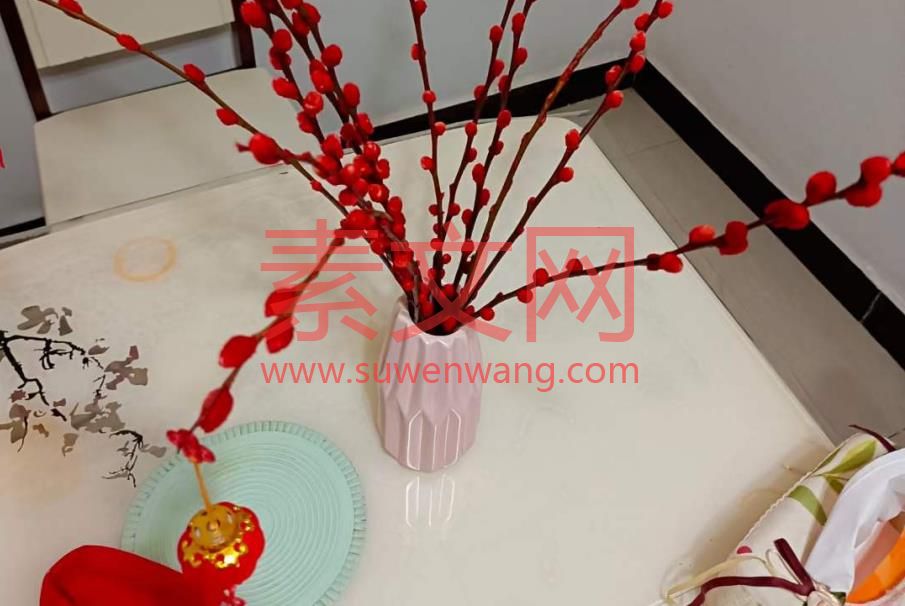 煙花綻放的那一刻，關于煙花的傷感句子