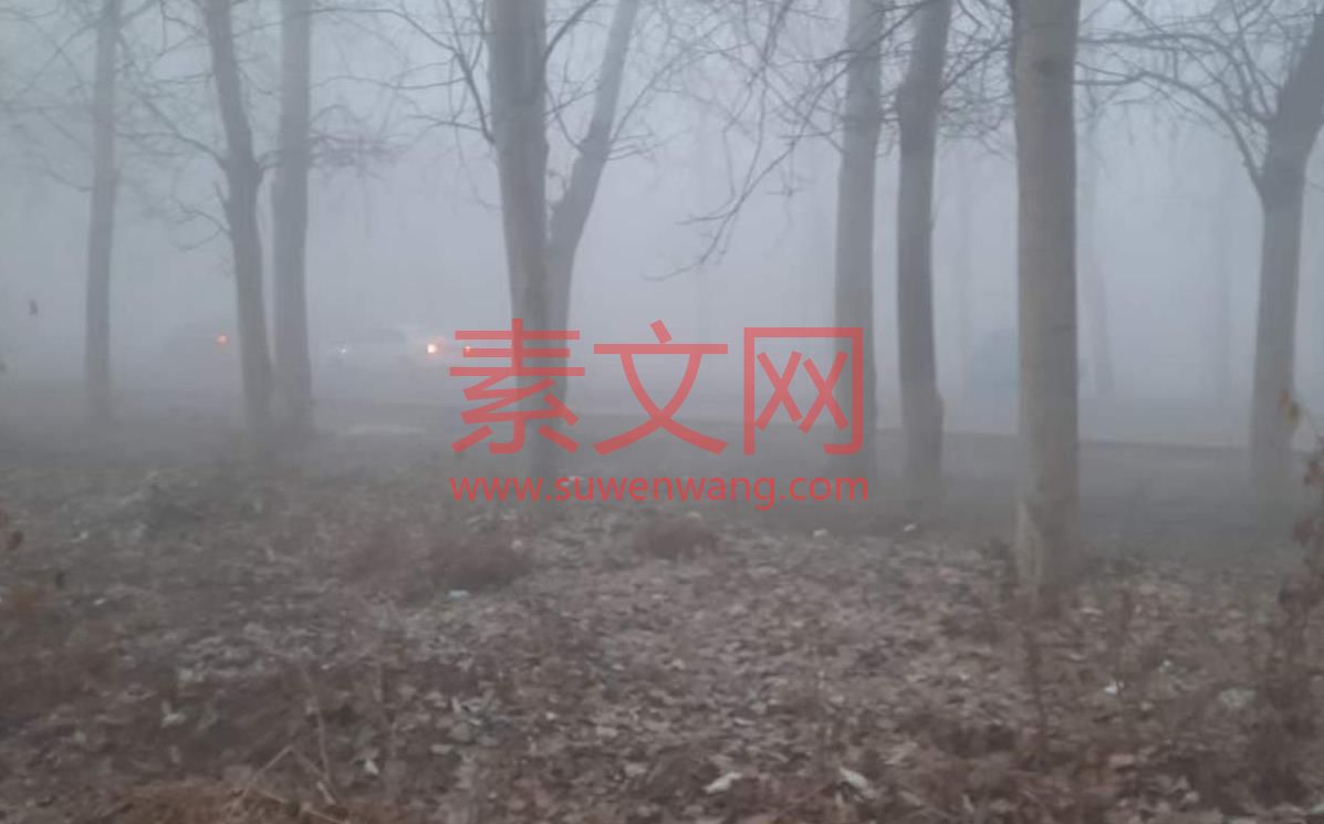 白兔搗藥秋復(fù)春，嫦娥的句子
