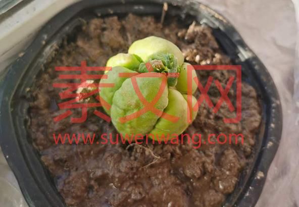 沒有永遠的朋友，只有永遠的利益這個觀點是正確的嗎？