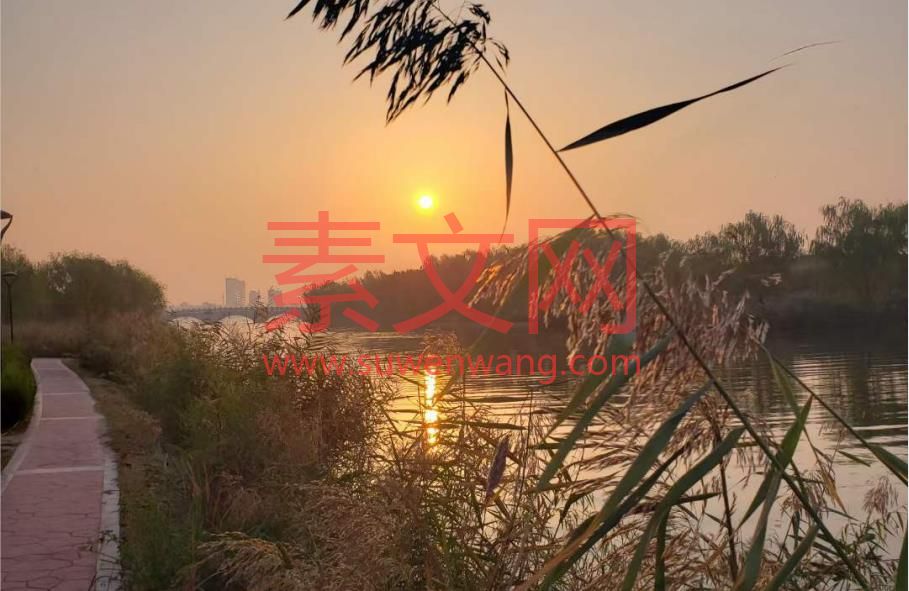 變通智慧的實踐建議