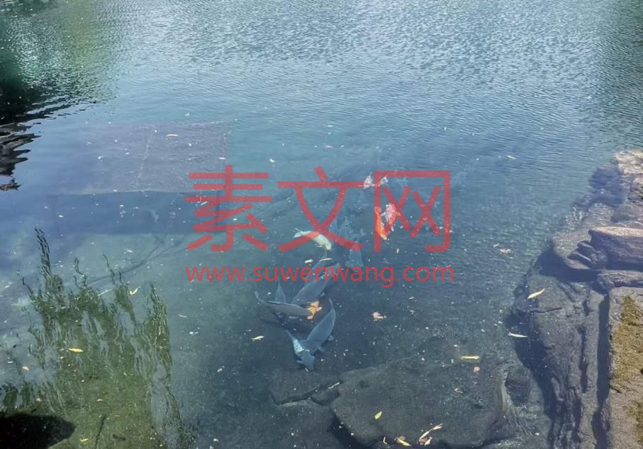 可以改變生活的小習慣