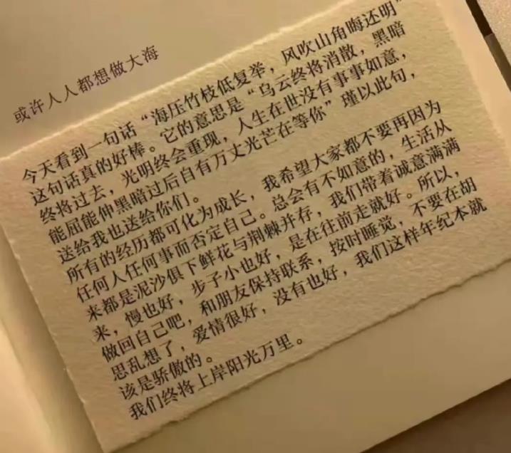 海壓竹枝低復舉，風吹山角晦還明感悟400字