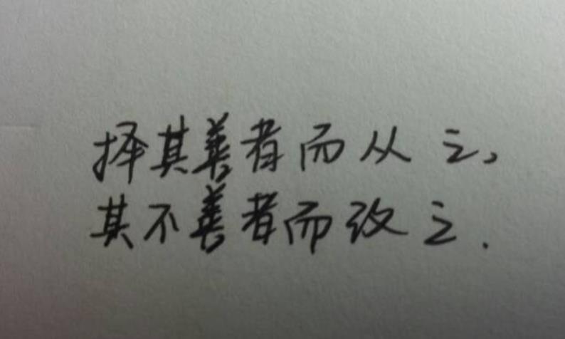 擇其善者而從之，其不善者而改之感悟議論
